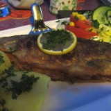 1609F 052 Forelle in Bagenz